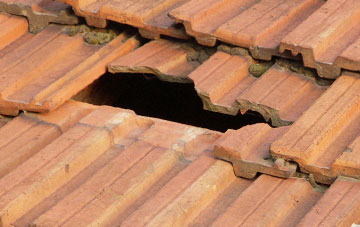 roof repair Honeychurch, Devon